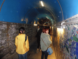 Miaomiao in the tunnel leading from the Riomaggiore railway station to the Riomaggiore town center