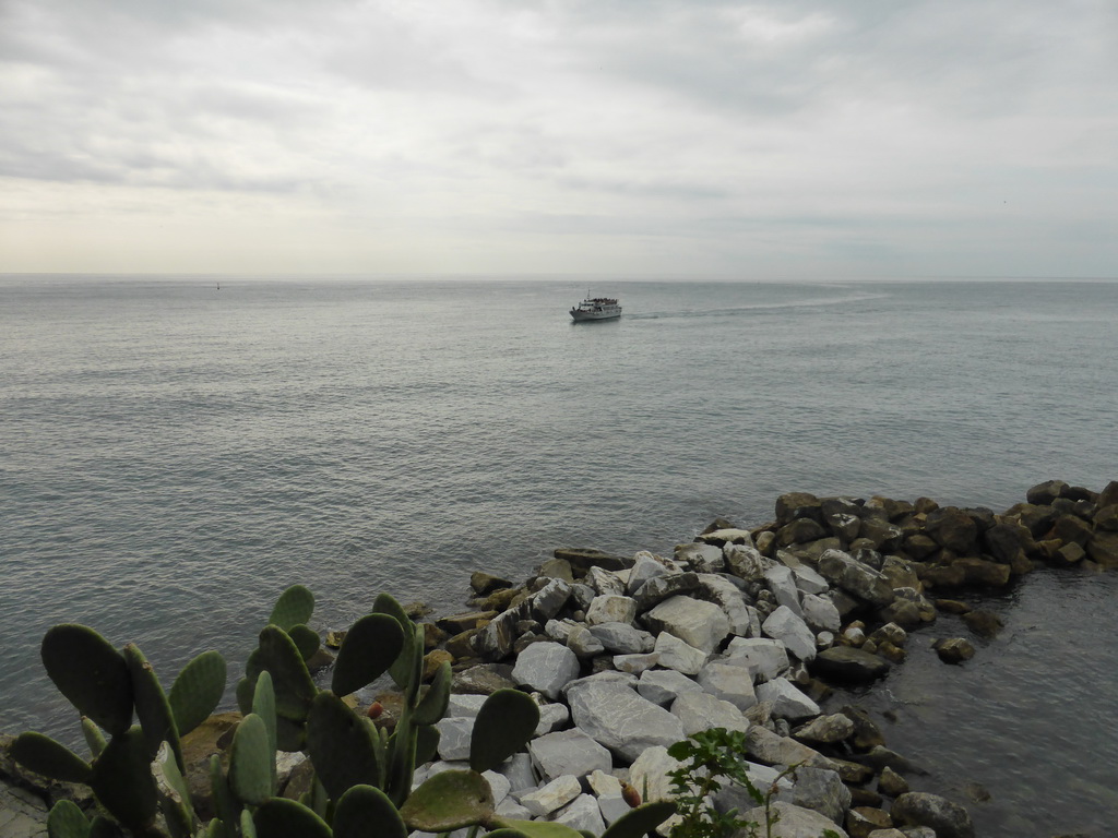 Ferry arriving at the pier of Riomaggiore