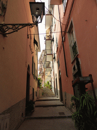 Alley leading from the Via Telemaco Signorini street to the Riomaggiore Castle