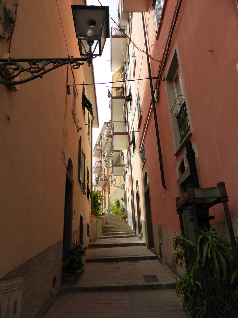 Alley leading from the Via Telemaco Signorini street to the Riomaggiore Castle