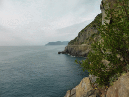 The Via dell`Amore path to Manarola, viewed from the panoramic path of Riomaggiore