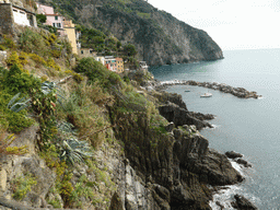 View from the panoramic path on the harbour of Riomaggiore