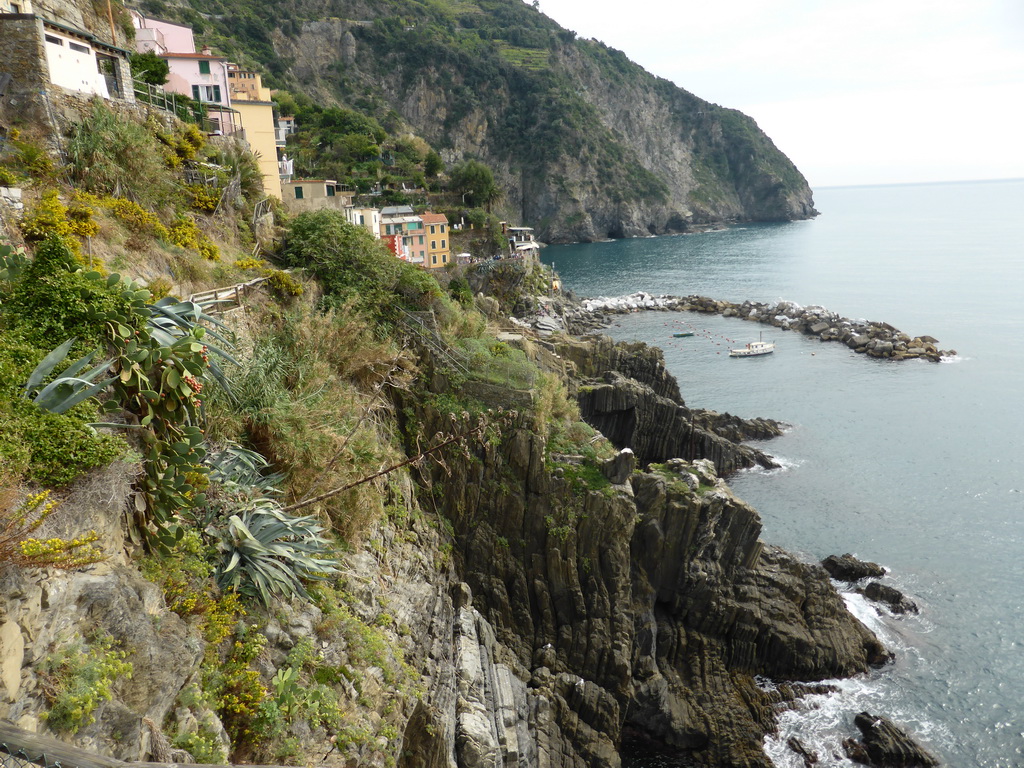 View from the panoramic path on the harbour of Riomaggiore