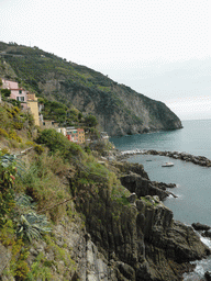 View from the panoramic path on the harbour of Riomaggiore