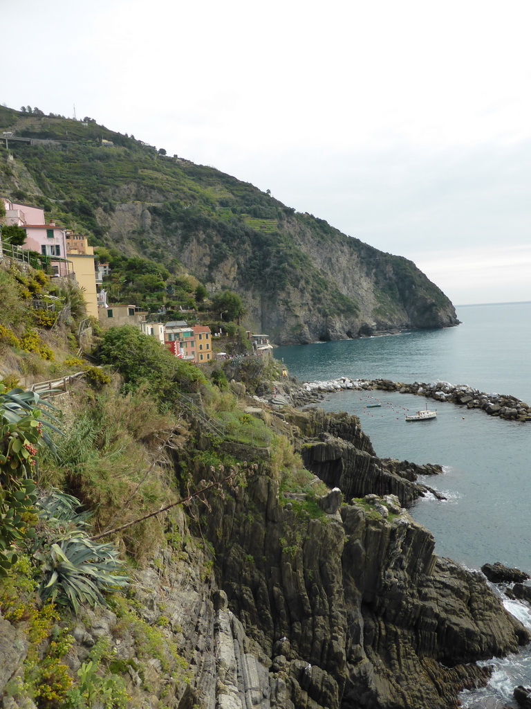 View from the panoramic path on the harbour of Riomaggiore