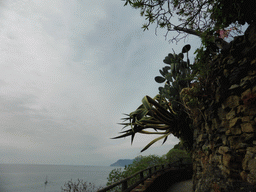 The panoramic path of Riomaggiore