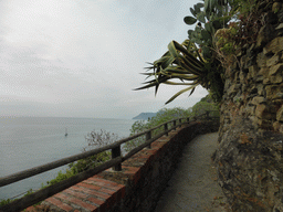 The panoramic path of Riomaggiore