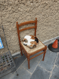 Cat on a chair on the side of the Chiesa di San Lorenzo church at Manarola