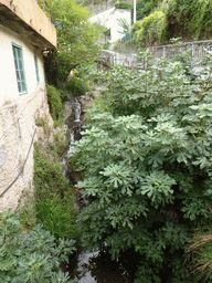 Small stream at the Via delle Coste street at Manarola