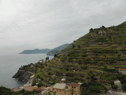 Hill with wine fields and the Punta Bonfiglio hill at Manarola and a view on Monterosso al Mare and Corniglia from the Via Rolandi street