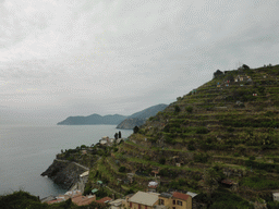 Hill with wine fields and the Punta Bonfiglio hill at Manarola, and a view on Monterosso al Mare and Corniglia from the Via Rolandi street