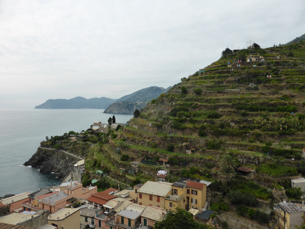 The town center of Manarola, a hill with wine fields, the Punta Bonfiglio hill and a view on Monterosso al Mare and Corniglia from the Via Rolandi street