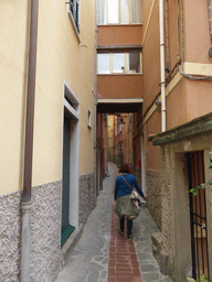 Miaomiao at the Via di Mezzo street at Manarola