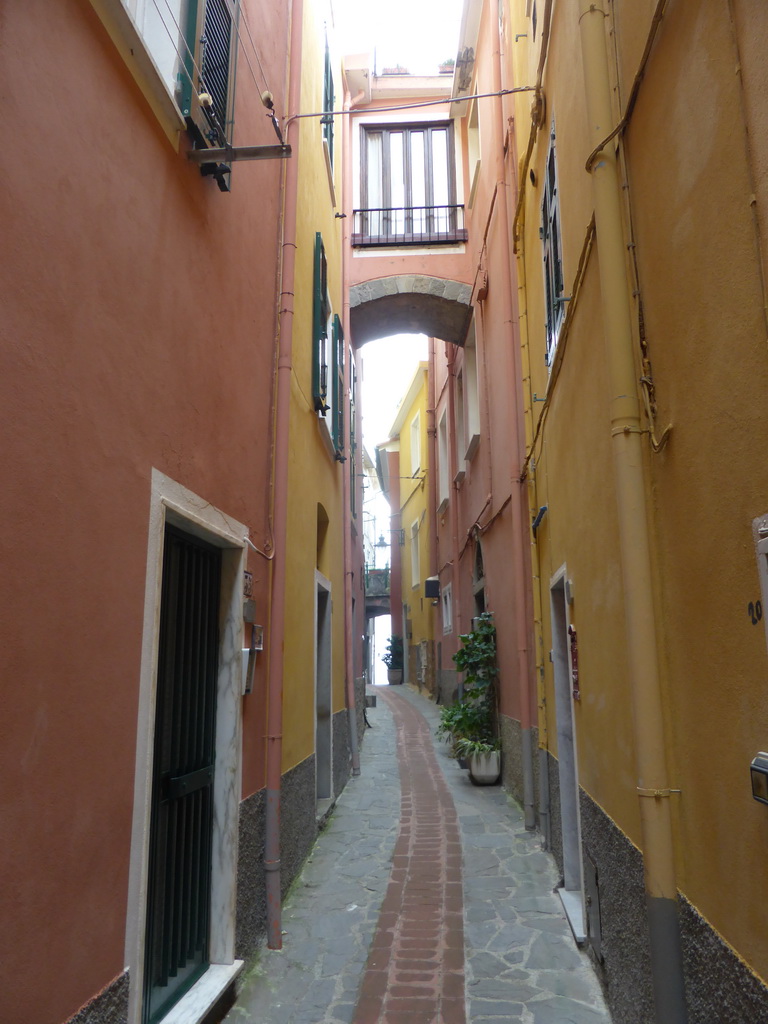 The Via di Mezzo street at Manarola