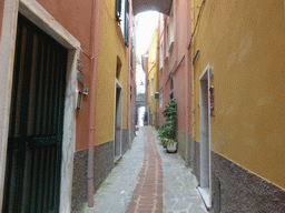 The Via di Mezzo street at Manarola