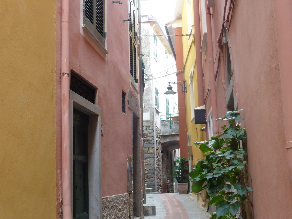 The Via di Mezzo street at Manarola