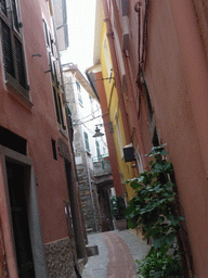 The Via di Mezzo street at Manarola