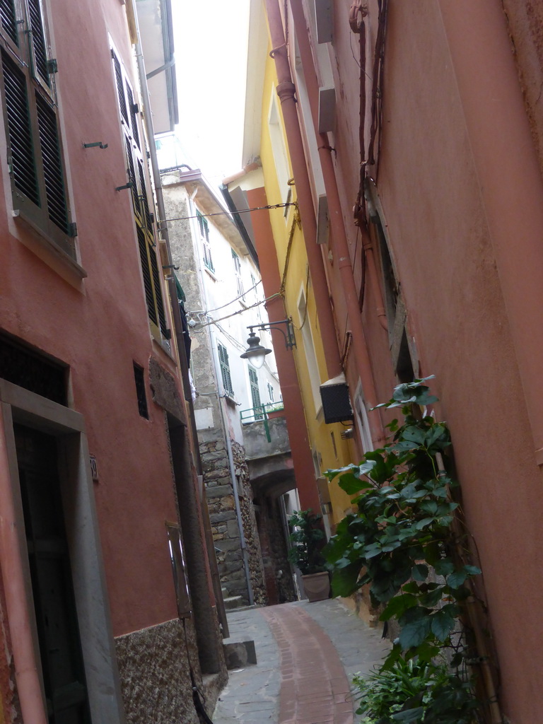 The Via di Mezzo street at Manarola