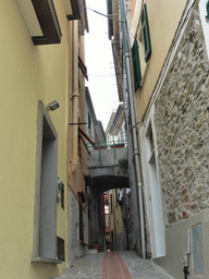The Via di Mezzo street at Manarola