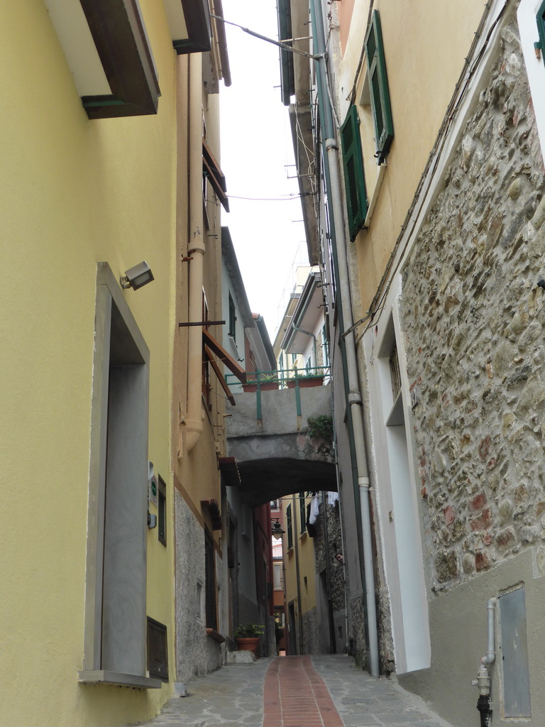 The Via di Mezzo street at Manarola