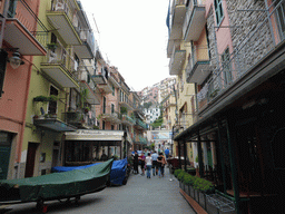 The Via Renato Birolli street at Manarola