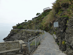 The Punta Bonfiglio hill at Manarola and the Via dei Giovani path to Corniglia