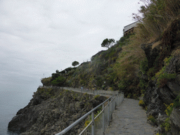 The Punta Bonfiglio hill at Manarola and the Via dei Giovani path to Corniglia