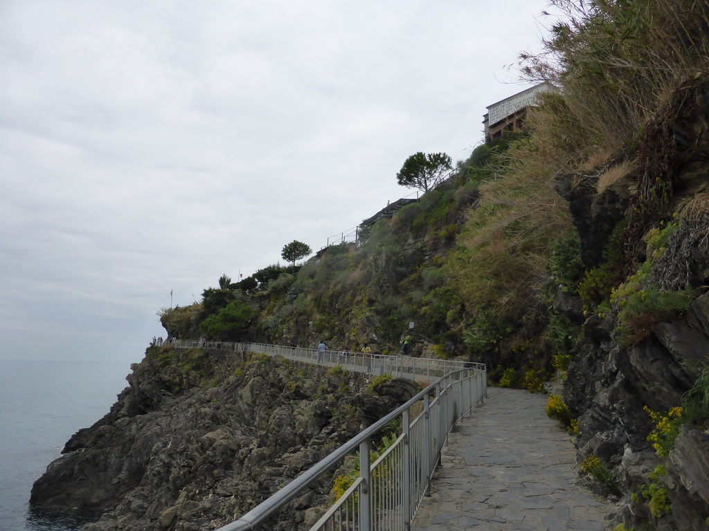 The Punta Bonfiglio hill at Manarola and the Via dei Giovani path to Corniglia