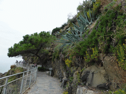 The Via dei Giovani path from Manarola to Corniglia