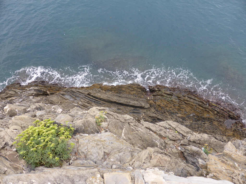 Cliff under the Via dei Giovani path from Manarola to Corniglia