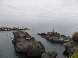 People swimming in the harbour of Manarola