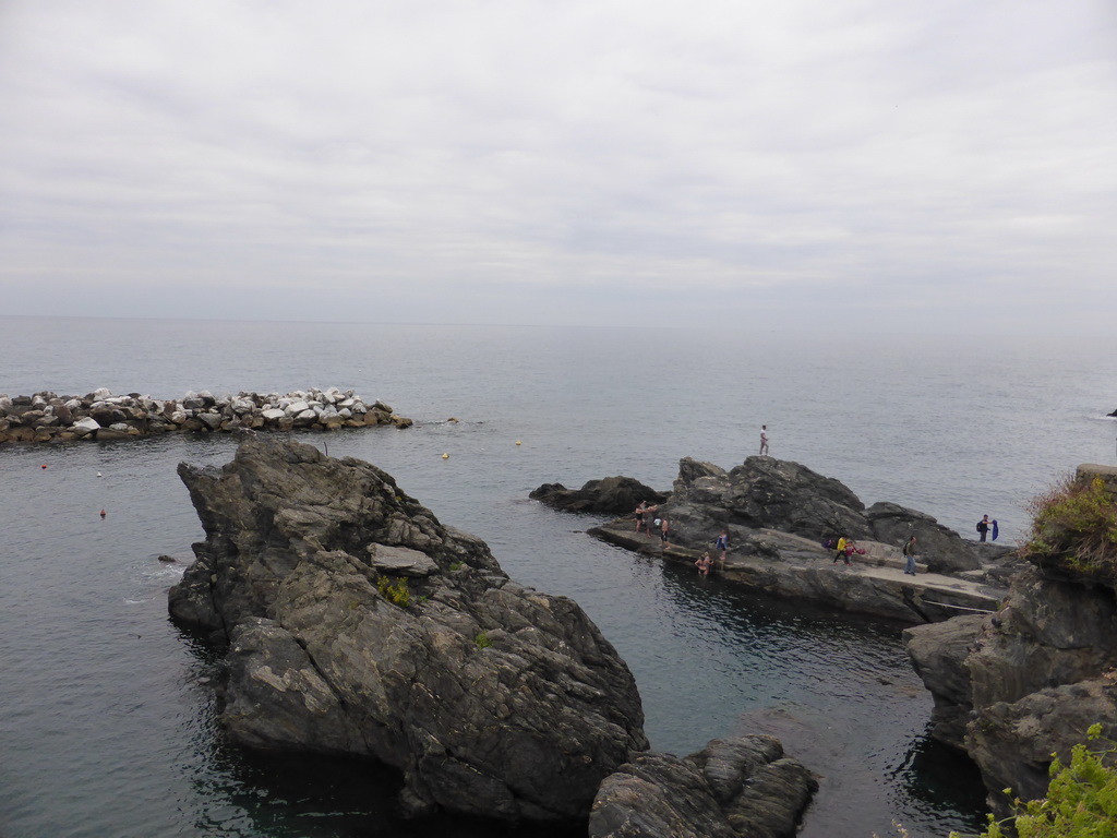 People swimming in the harbour of Manarola