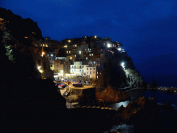 Manarola and its harbour, viewed from the Punta Bonfiglio hill, by night