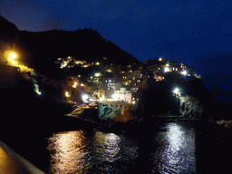 Manarola and its harbour, viewed from the Punta Bonfiglio hill, by night