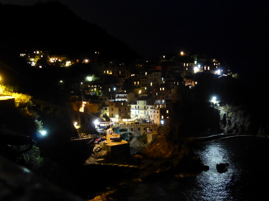 Manarola and its harbour, viewed from the Punta Bonfiglio hill, by night