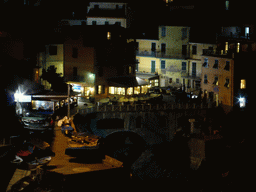 The harbour of Manarola, viewed from the Punta Bonfiglio hill, by night