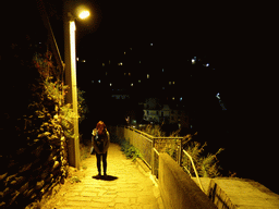 Miaomiao at the Via di Corniglia street, with a view on Manarola, by night
