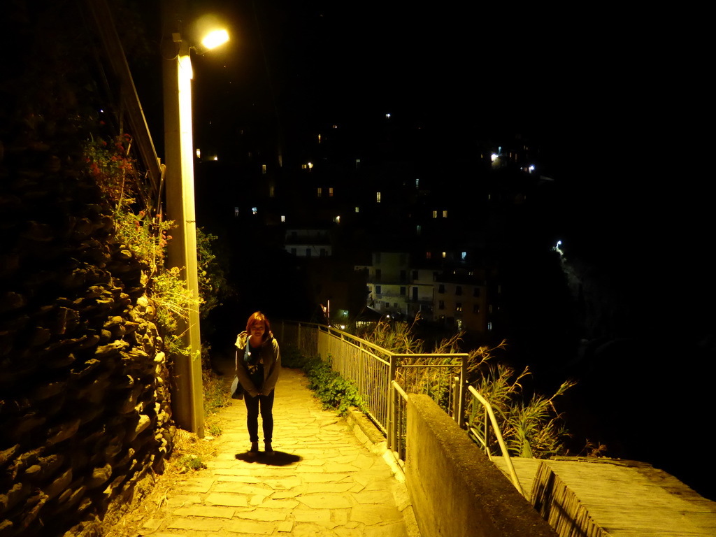 Miaomiao at the Via di Corniglia street, with a view on Manarola, by night