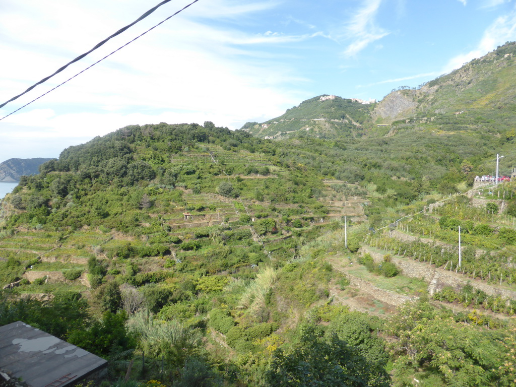 View from the Via alla Marina street at Corniglia on the hills on the north side