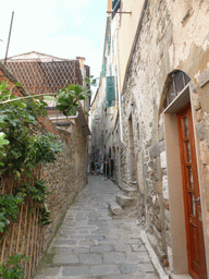 The Via Fieschi street at Corniglia