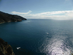 Manarola, viewed from the Santa Maria Belvedere viewing point at Corniglia