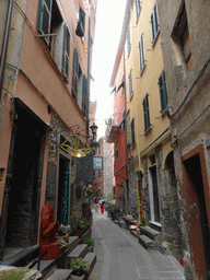 The Via Fieschi street at Corniglia