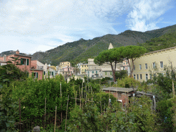 View on the east side of the town with the Chiesa di San Pietro church from the road leading to the Corniglia Cemetery