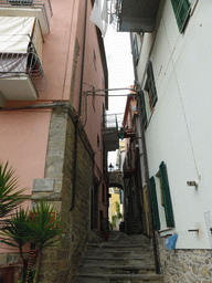 The Via Serra street at Corniglia