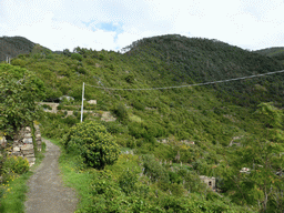 Wine fields at the east side of Corniglia, viewed from the path from Corniglia to Manarola