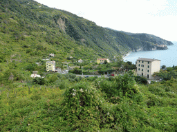 Houses and wine fields at the east side of Corniglia and a view on Manarola from the path from Corniglia to Manarola