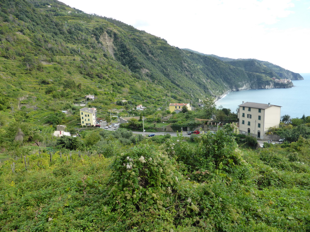 Houses and wine fields at the east side of Corniglia and a view on Manarola from the path from Corniglia to Manarola