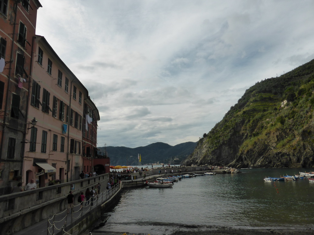 The harbour of Vernazza