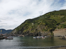 The harbour of Vernazza