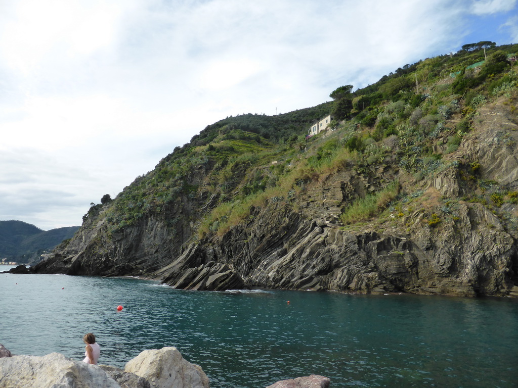 Hill on the north side of the harbour of Vernazza